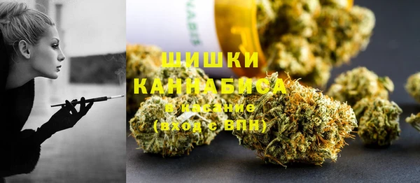 прущие грибы Строитель