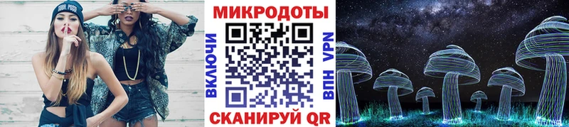 Псилоцибиновые грибы Psilocybe Солигалич